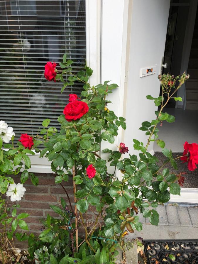Vakantiewoning In Middelburg Zeeland Eksteriør bilde
